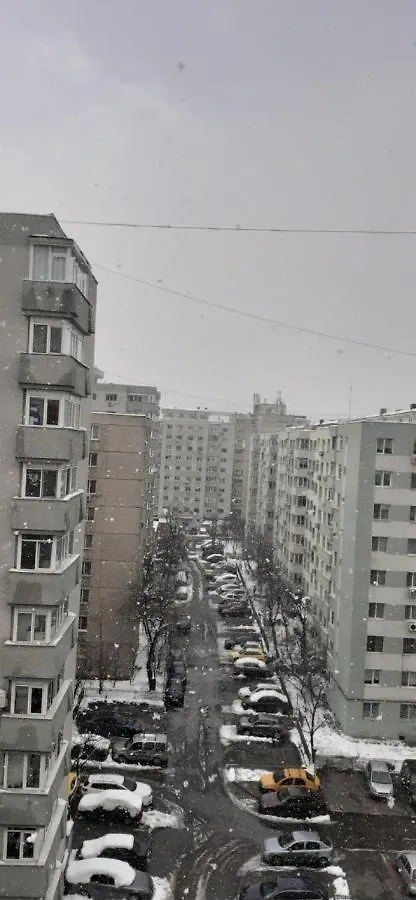 Апартаменты Apartament Alexandra Бухарест Румыния
